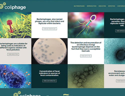 COLIPHAGESInvestigación y divulgaciónwww.coliphages.com